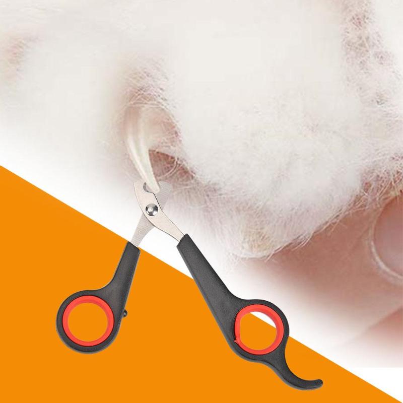 Kæledyr hund katte fugletå klo saks clippers rustfrit stål pleje negleklipper saks hund negl trimmer skåret søm