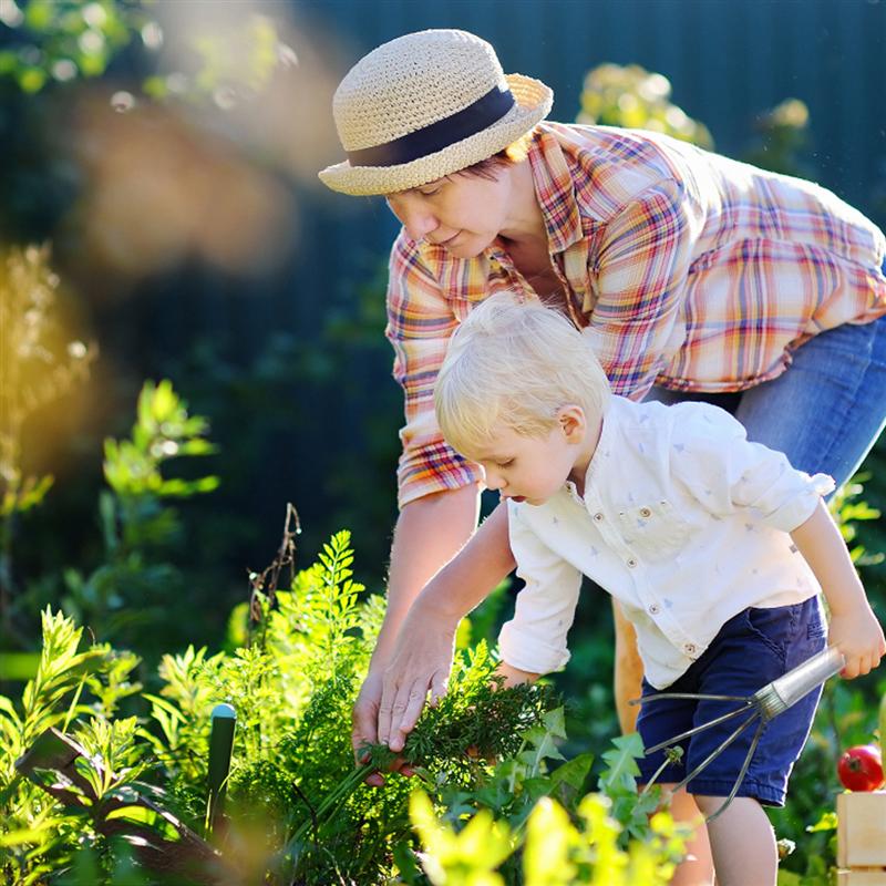 1 ensemble d'outils à main pratique ensemble d'outils de jardinage pour pot de fleurs plage