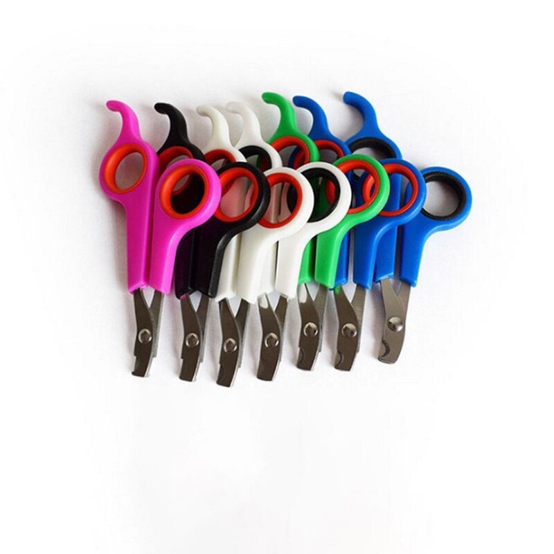 Coupe-ongles en acier inoxydable pour chien et chat, ciseaux de toilettage, fournitures pour animaux de compagnie