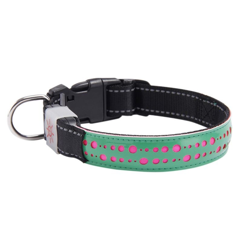 Collier de chien de LED en cuir d'unité centrale Rechargeable d'usb de collier pour animaux de compagnie de lumière de nuit collier de lueur avancé, collier réglable d'animal de compagnie de sécurité: Vert clair / M