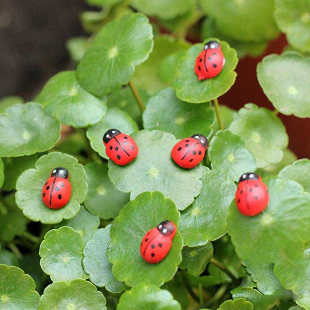 10Pcs Mini Ladybird Red Beetle Ladybug Fairy Doll House Garden Decor Ornament: Default Title