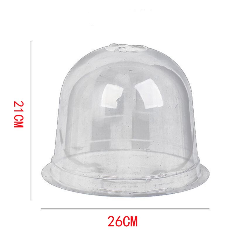 Cloche de protection des plantes en plastique, 34 pièces/ensemble, Mini serre, Anti-gel, accessoires pour fleurs, transparent, 26x21cm