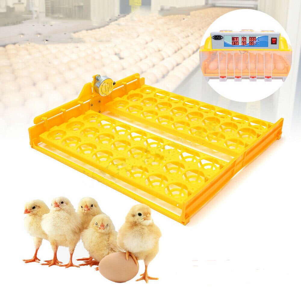 Automatic 56 Chicken Duck Quail Egg Incubator Turner Tray w/ 220V Volt Motor