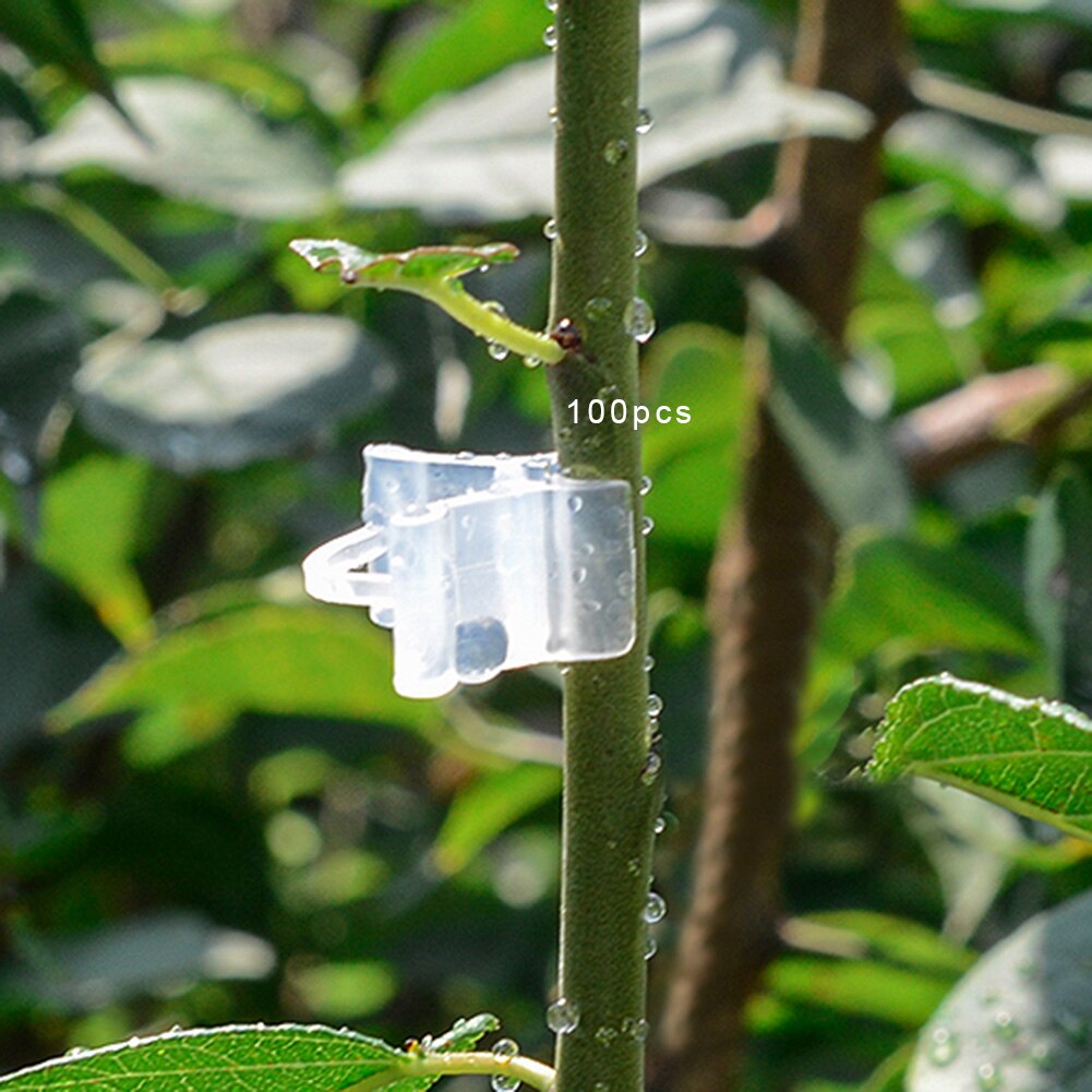 100Pcs Plastic Plant Support Clips Grafting Clips for Types Hanging Vine Garden Greenhouse Vegetable Fruit Trees Garden Tools