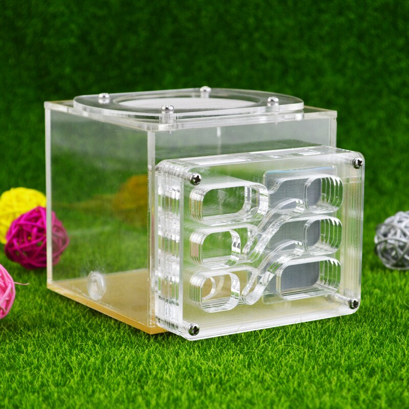 Granja acrílica de hormigas 11,7*8,6*9,5 cm, nidos de hormiga villa, nuevas hormigas avanzadas para mascotas, casa de fram mania, cría de hormigas