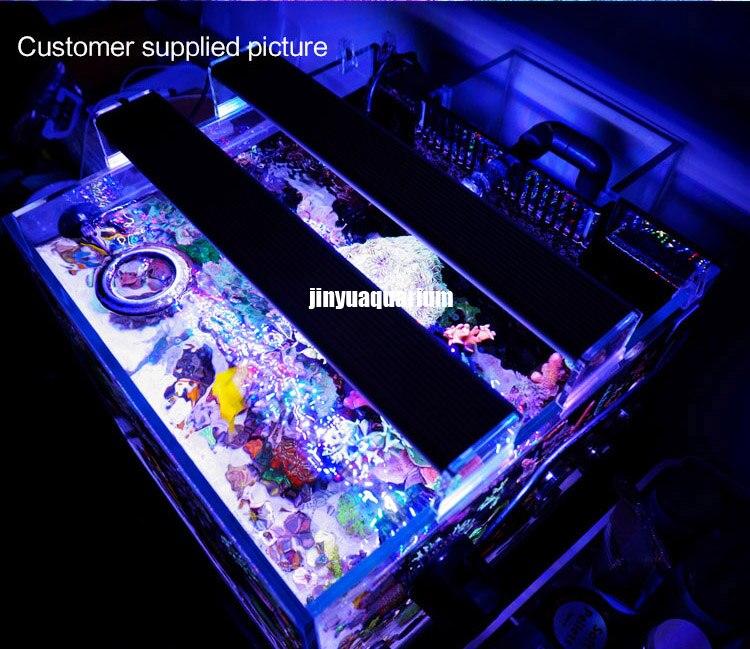 Chihiros – lampe LED Marine pour Aquarium, récif, réservoir, plante, eau de mer