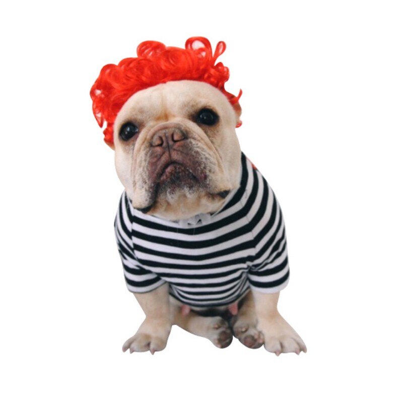 Lustige Hund Perücke Bunte Weiche Synthetische Haar Hunde Nette Kappe Für Cosplay Halloween Kostüm Phantasie Kleid SchöNe Für Haustier hund Katze