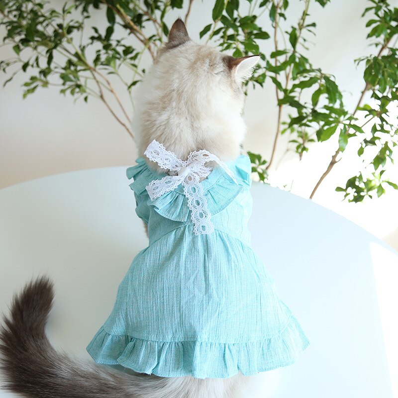Robe Vintage en dentelle à col creux pour chien et chat, vêtements pour animaux de compagnie, yorkshire, Chihuahua, vert, gris,
