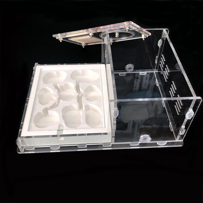 Acrylic Flat Ant Farm Ecological Plaster Ant Nest With Feeding Area Gypsum Ant House Anthill Pet Ant Workshop 8* 13*7.5cm