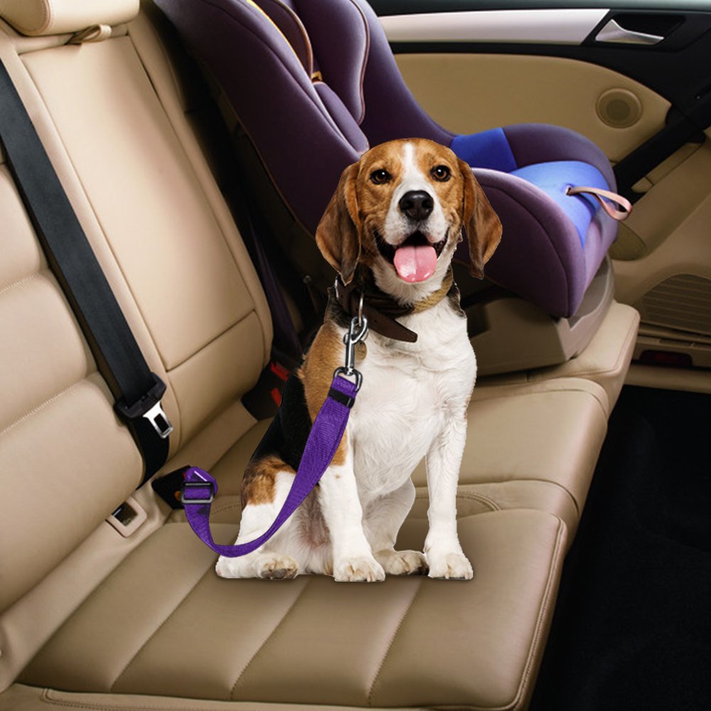 Ceinture de siège pour voiture pour chien, harnais avec Clip en plomb, levier de sécurité, produits de Traction automatique