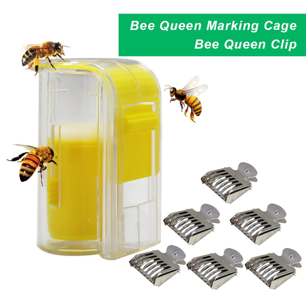 Pince à Reine En Acier Inoxydable Pour Apiculteurs - Outil De Capture D'abeilles Sécuritaire - 12