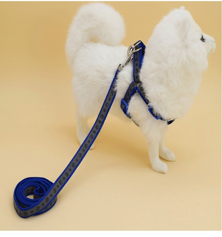 Reflective Movement Adjustable Nylon Dog Leash And Harness Set Paw Printing Pattern Dog Chest Harness Leash Pet Leash2021