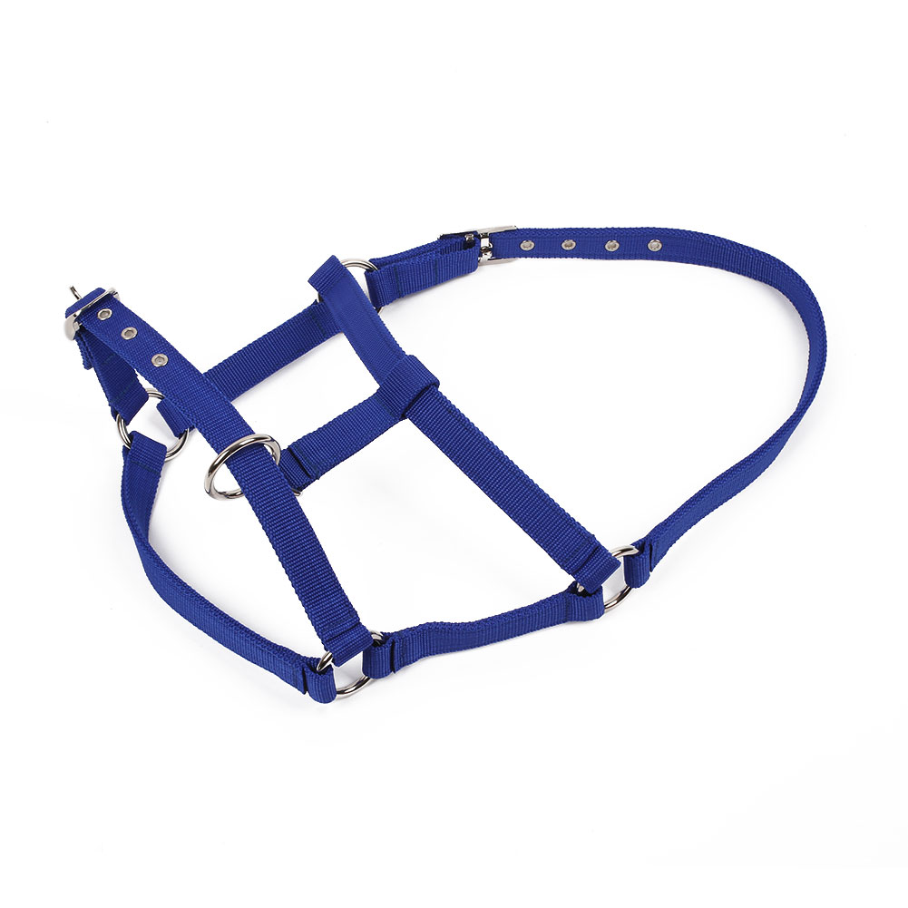 Horse Riding Belt Bridle Adjustable Halter Headstall Horsing Accessory Red/Blue