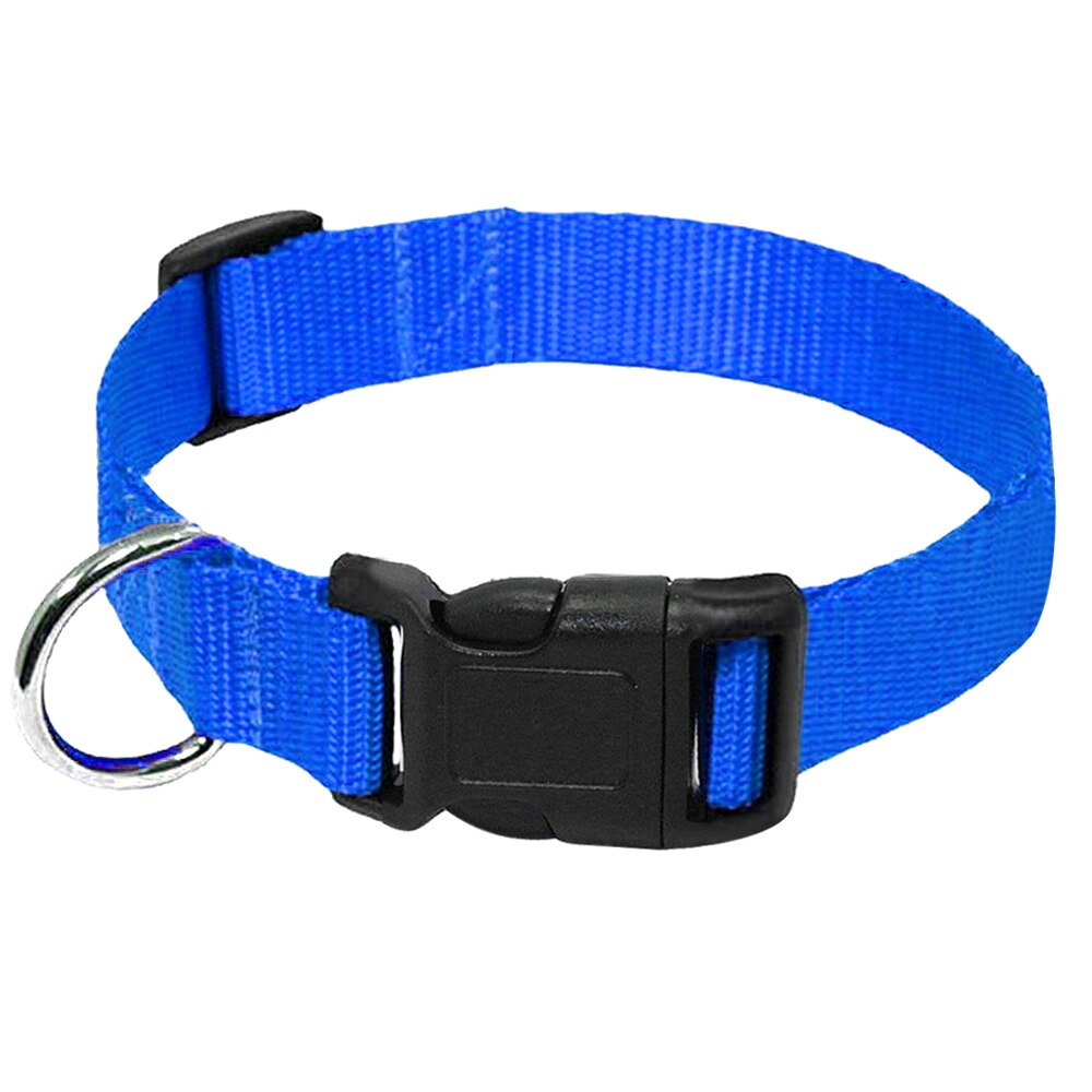 Dog Collar for Small Dogs Nylon Dog Collar Puppy Cat Collars Adjustable for Chihuahua Pug French Bulldog XS S M L: Blue / XS