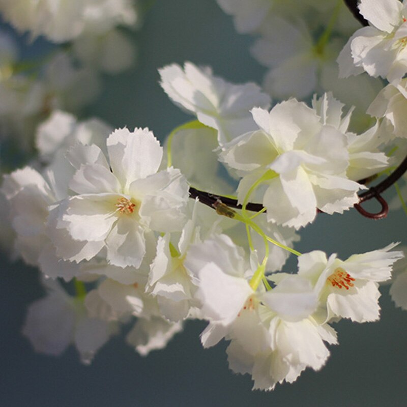 Flores artificiales de cerezo de mimbre Sakura de 180cm, guirnalda colgante de pared de vid y Flor de seda para decoración de hogar o boda