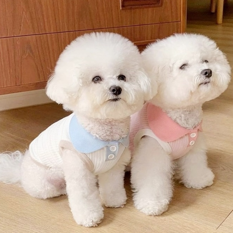 Zomer Hond Poloshirt Ademende Hondenkleding Mode Puppy Vest Leuke Effen Kat Shirt Zachte Huisdier Kostuums Chihuahua Hondenkleding