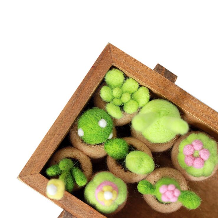 An ebullient succulent plant wool needlepoint kit wool felt needle felting keychain craft needlecraft DIY handmade