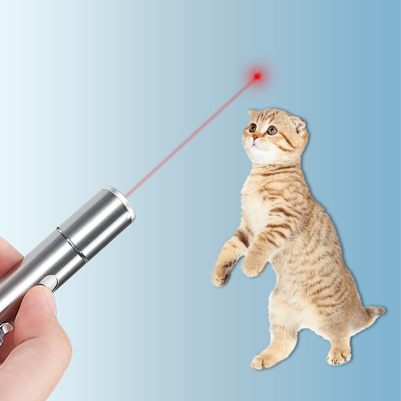 Jouets chat lumière de commandement multi-motifs | Entraînement d'animaux domestiques, utilisation en forme de, chat amusant, chasse Interactive, jouets pour chats