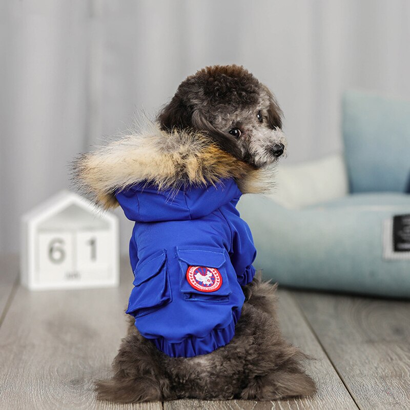 Haustier Kleidung Warme Unten Jacke Winddicht Hund Kleidung Parkas Winter Welpen Mantel Kleidung für Kleine Hunde Chihuahua Weihnachten: Blau / M