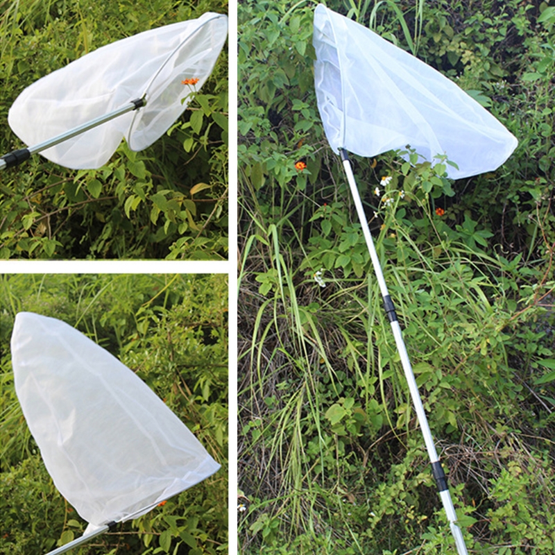 Filet de pêche à poignée télescopique en alliage d&#39;aluminium, filet à insectes pour enfants, capture papillon libellule, activité de plein air pour enfants