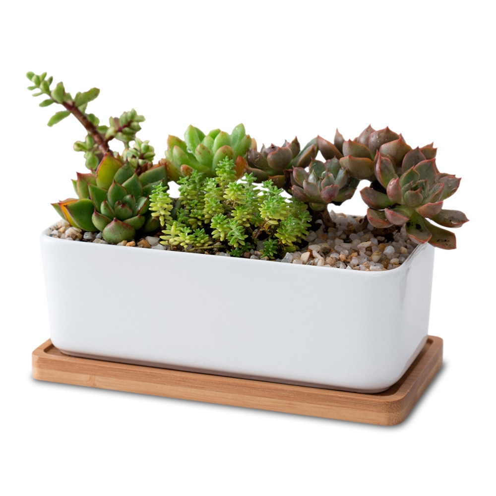 Keramische langwerpige bloempot met bamboe schaal vetplantenbak tuin bonsai pot bloempot wit  (1pc bloempotten 1pc bamboe schaal)
