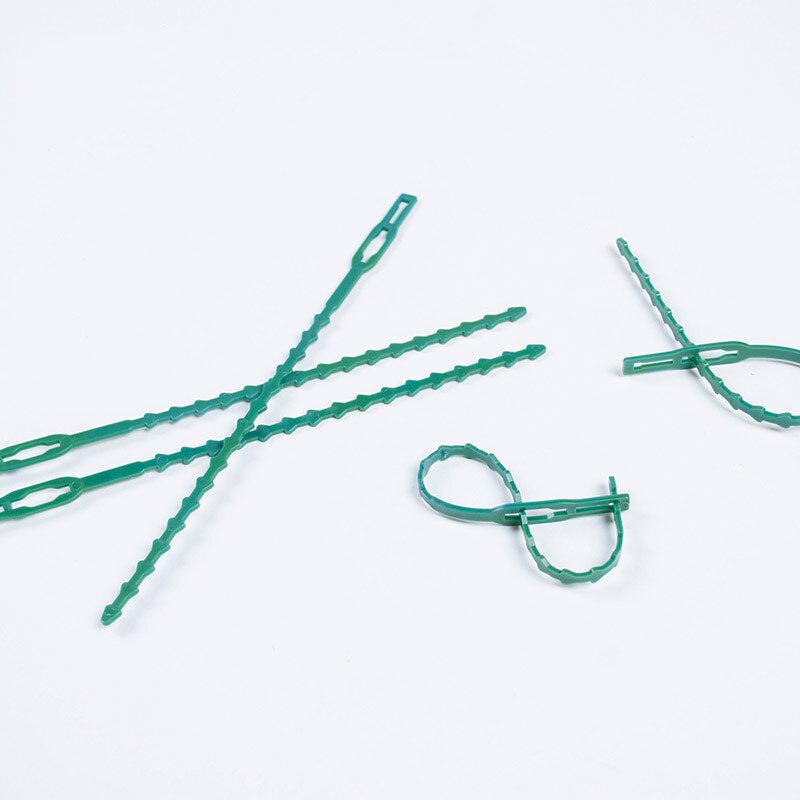 50/100 sztuk wielokrotnego użytku ogród opaski wsparcie dla roślin krzewy zapięcie drzewo blokowania nylon regulowany plastikowe opaski kablowe opaski narzędzia