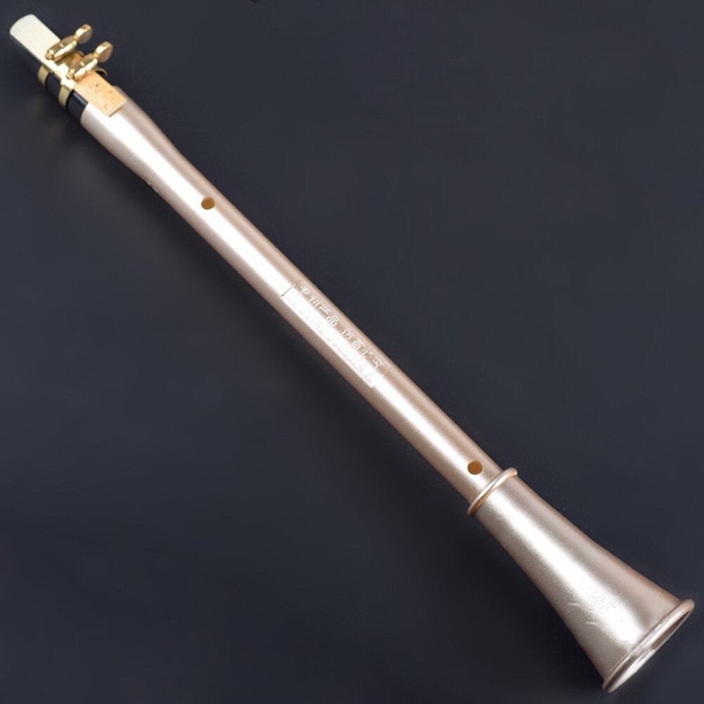 Pocket Klarinet Sax Mini Draagbare Klarinet-Saxofoon Kleine Saxofoon Met Draagtas Houtblazers Instrument