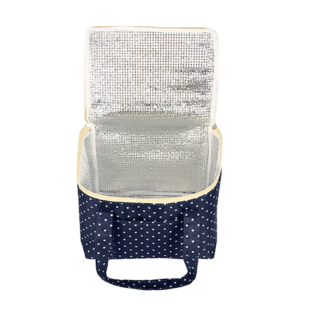 Sacs thermiques isolés toile froide rayure pique-nique Bento boîte femmes travail Portable sac à déjeuner hommes lait fruits nourriture refroidisseur sac à main: C