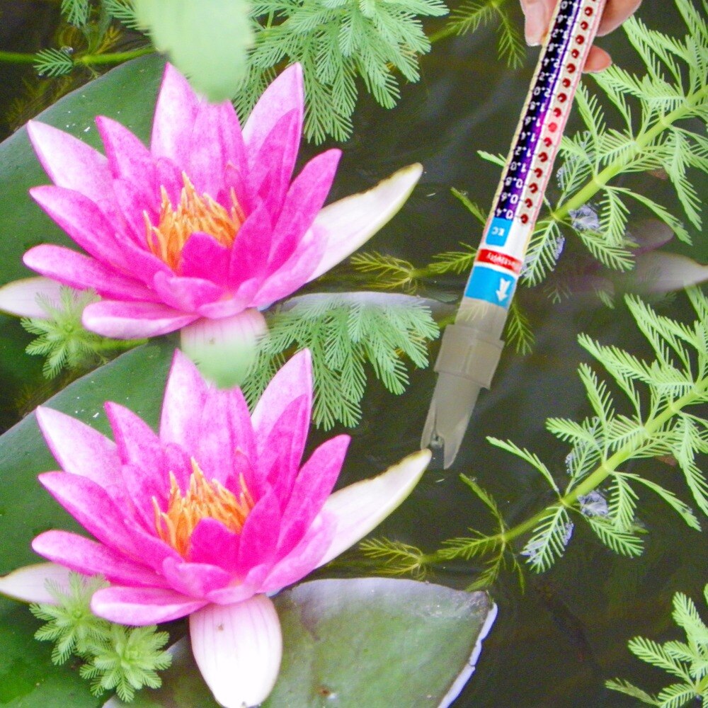 Handheld 3in1 Waterproof EC CF PPM Dipstick Conductivity Stick Meter Nutrient Tester +/-4% Accuracy + ATC