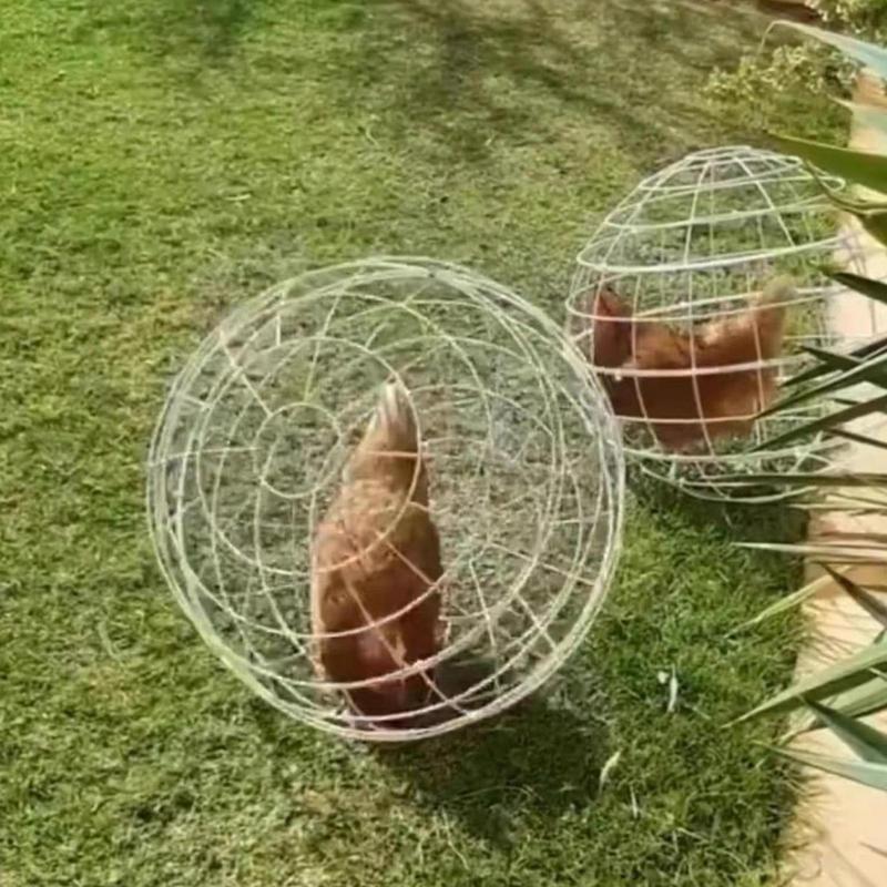 Poulailler rond en forme de boule jetable, poulailler mobile, lapin hamster extérieur, adapté à une utilisation à la ferme, 3 pièces