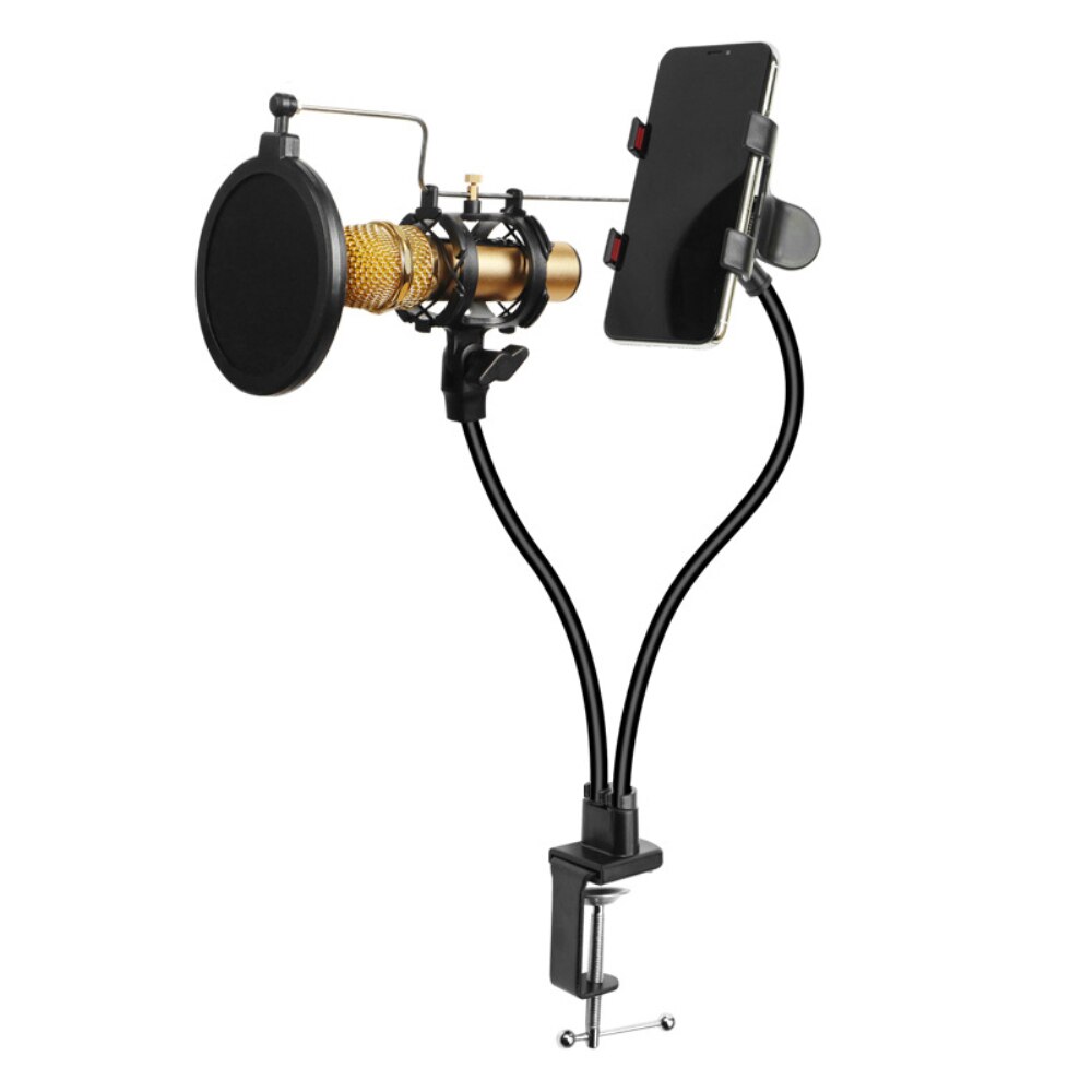 3 en 1 support de Microphone de téléphone avec filtre support de bras Long Flexible 360 degrés ajuster les Kits de support de micro pour Braodcasting