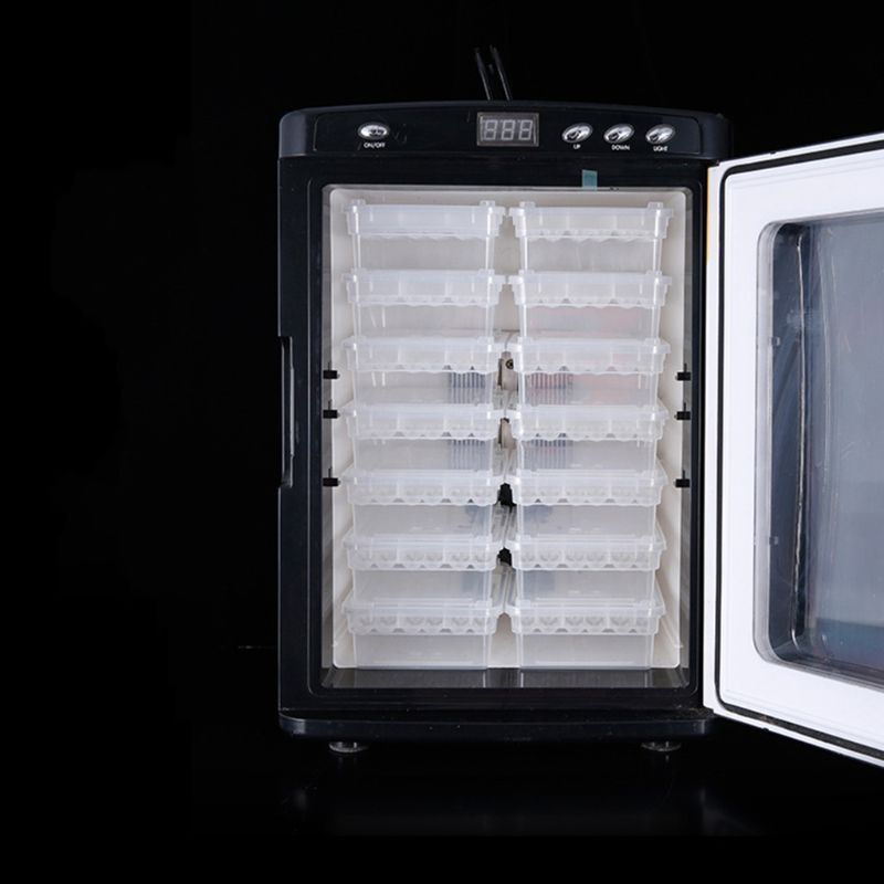 Caja incubadora de reptiles, bandeja para huevos, Gecko camaleón, herramienta de incubación