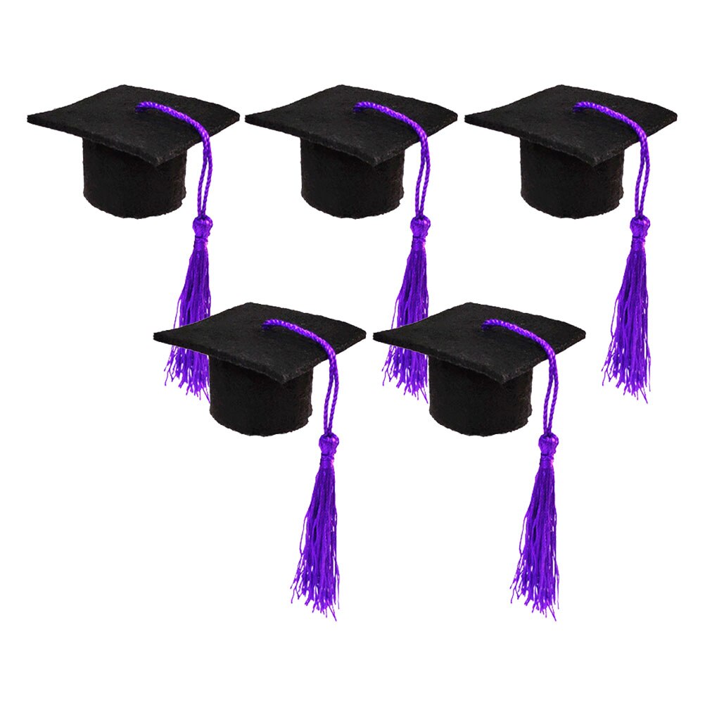 Couverture de bouteille de bière 5 pièces, Mini décoration créative pour remise de diplôme: Purple
