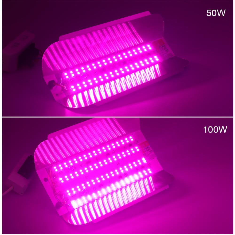Borbede vokse lys 50w/100w 220v/110v fuldspektrum indendørs led plante vokse lys vandtæt oversvømmelseslys eu us stik