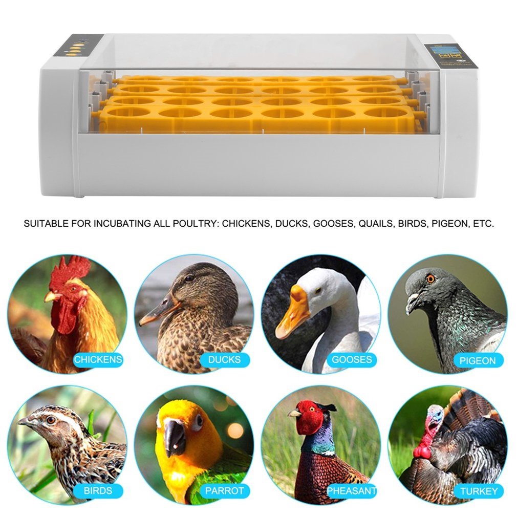 24 Eieren Incubator Automatische Draaien Uitkomen Met Led Scherm Temperatuur Vochtigheid Controle Voor Kip Kwartel Vogel Incubatie Tool
