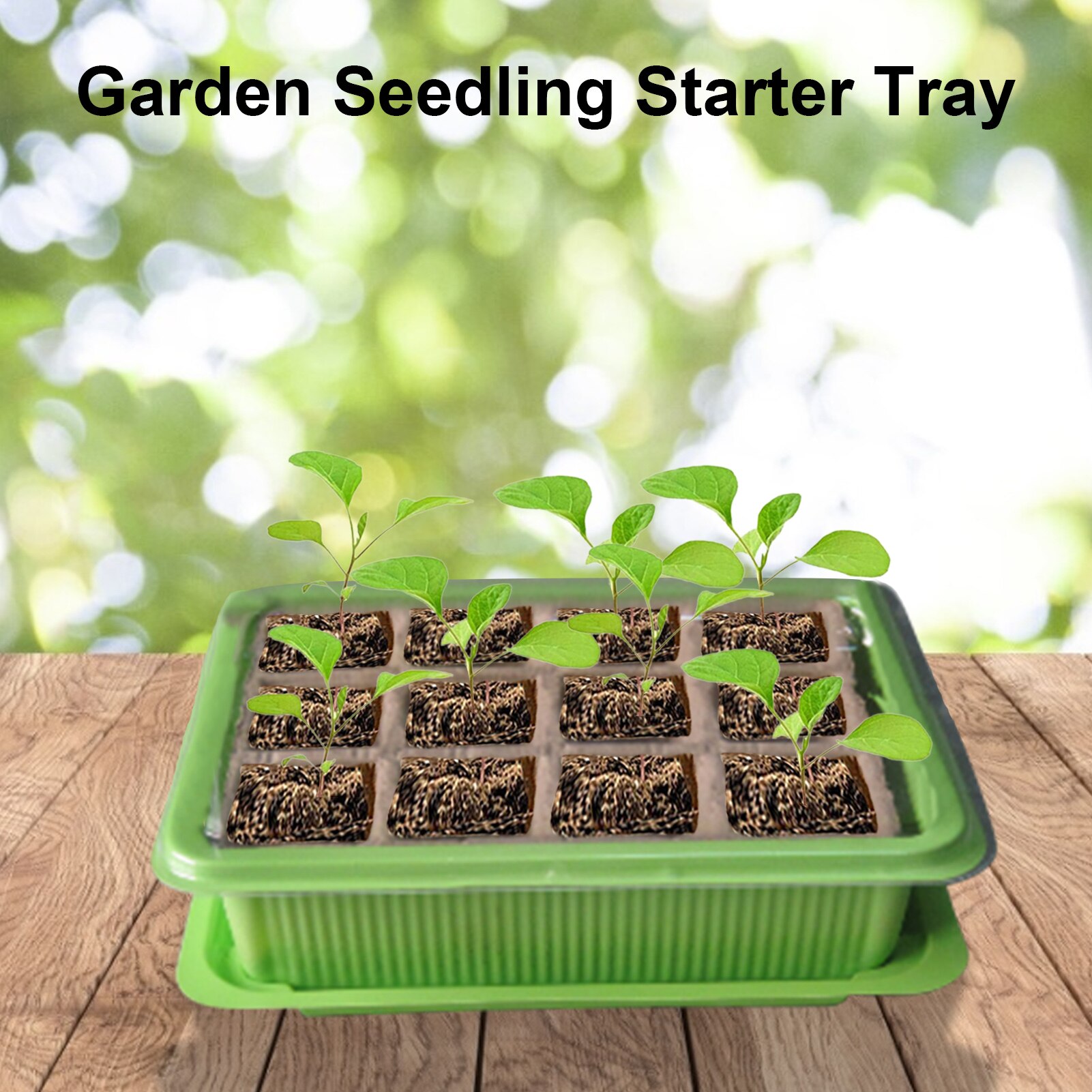 Seed Starter Tray Kit Plant Germination Kit Seedling Tray Set Humidity Adjustable Kit Base Greenhouse Grow Trays Propagator