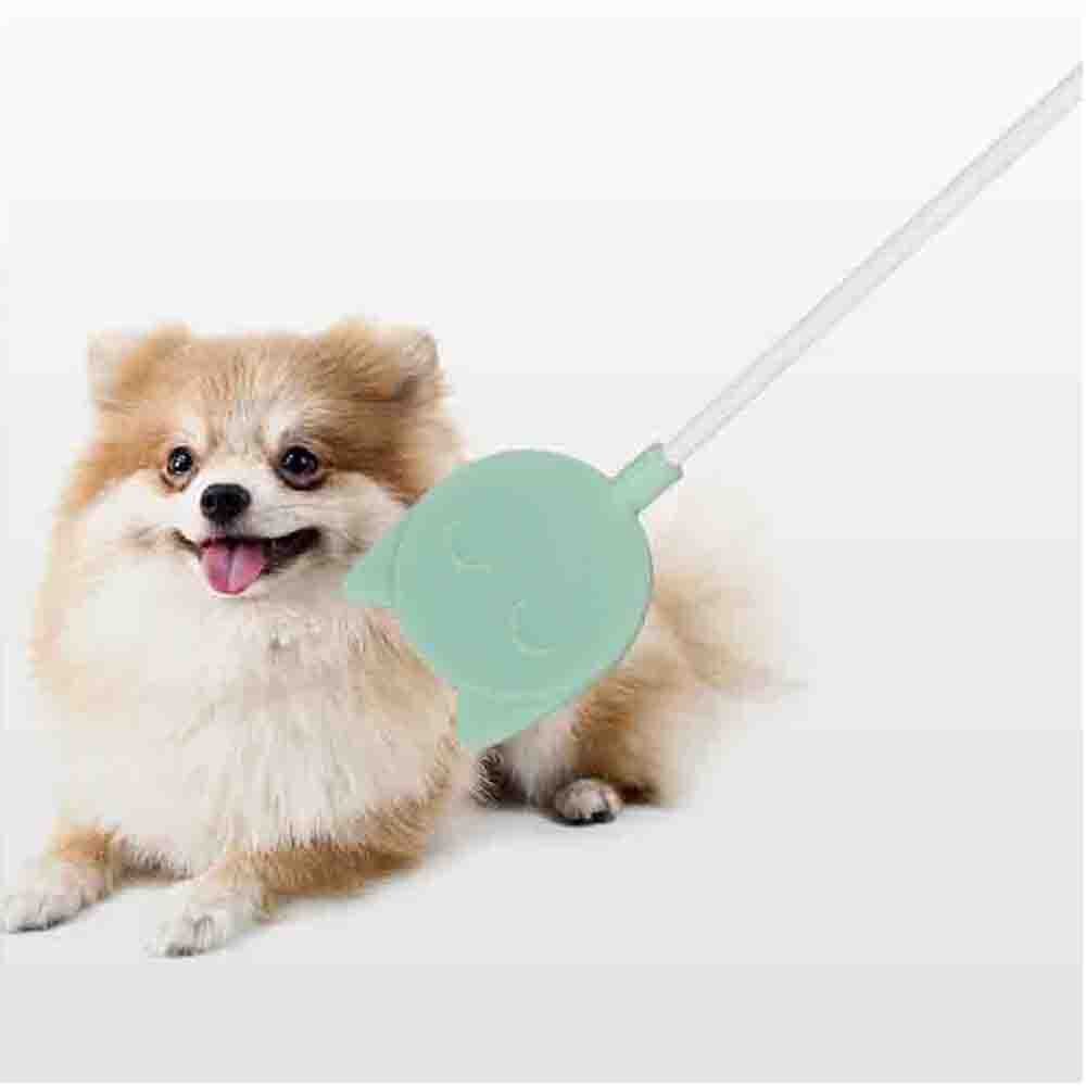 Kæledyr hund træning pinde teleskopiske hunde uddannelse katte agility udstyr gummi sikkert kæledyr tilbehør til træning hunde forsyninger