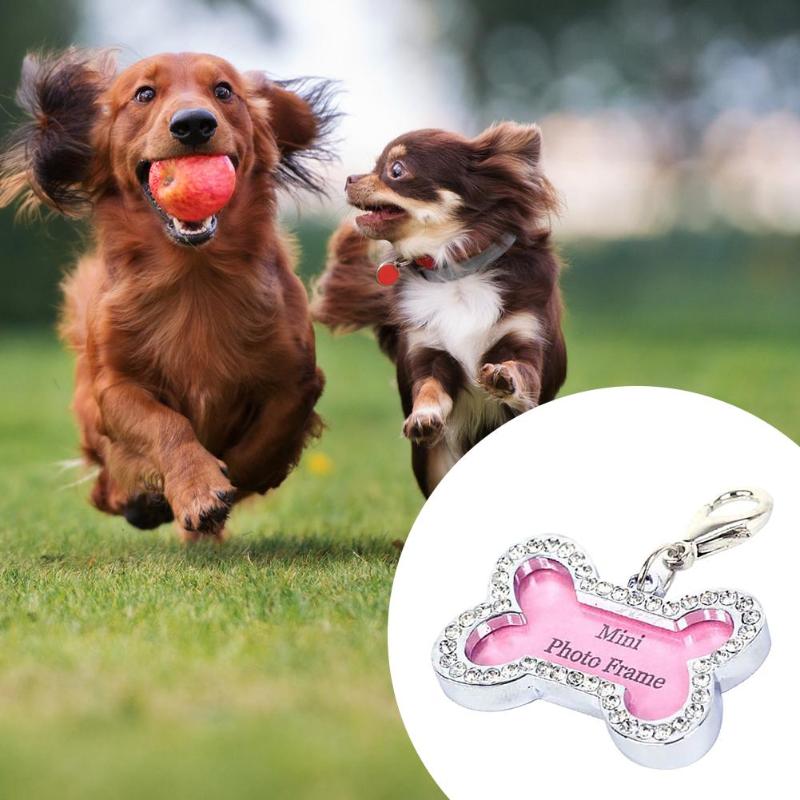 Mini etiqueta de identificación para mascotas, colgante con nombre, dirección, bricolaje, diamantes de imitación, tarjeta antipérdida para perros y cachorros, suministros para Collar para mascotas
