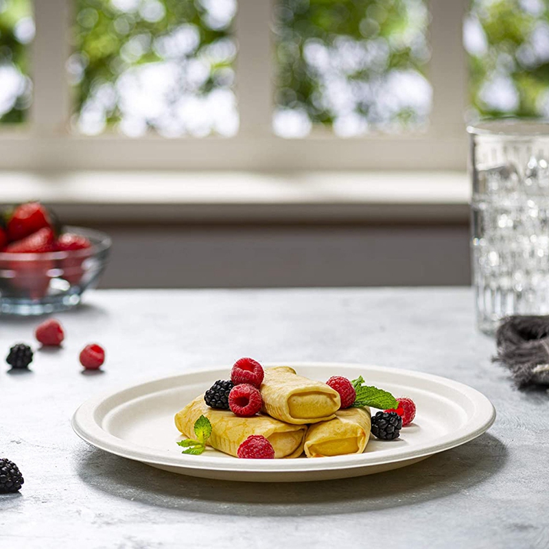 Compostable Heavy-Duty Plates Eco-Friendly Disposable Sugarcane Paper Plates Biodegradable Plates