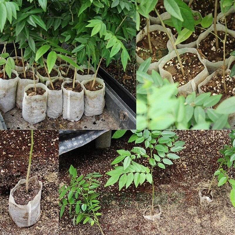 100 stk / parti biologisk nedbrydelige poser til planteskolepotter til dyrkning af grøntsagspotter til havedyrkning planteskoleplante
