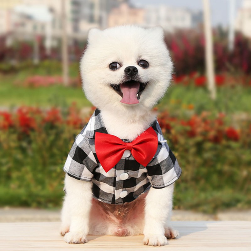 Costume à carreaux avec nœud papillon pour chien, T-Shirt d'été à manches courtes pour petit et moyen gabarit, Costume de mariage pour chiot