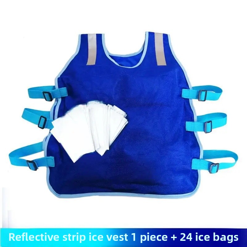 Summer Cooling Vest Ice Bag Vest Outdoor Heatstroke Prevention Clothing Men's Vest Cold Relief Essential Tool: Pink