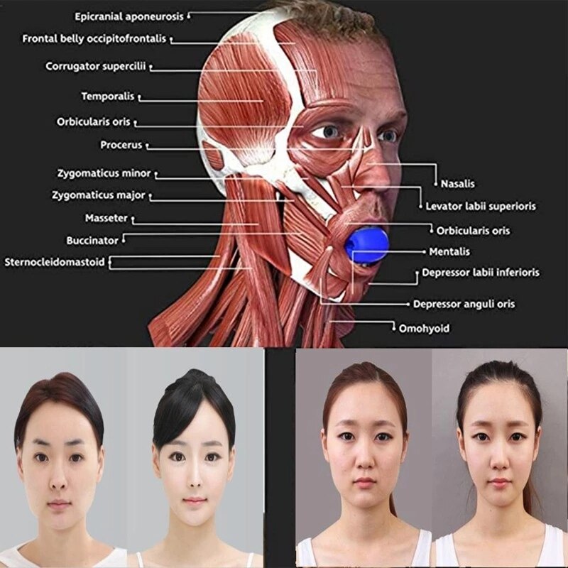 1-3PC visage Masseter hommes visage pop n aller bouche mâchoire mâchoire Muscle exercice mâcher balle mâcher morsure briser la formation