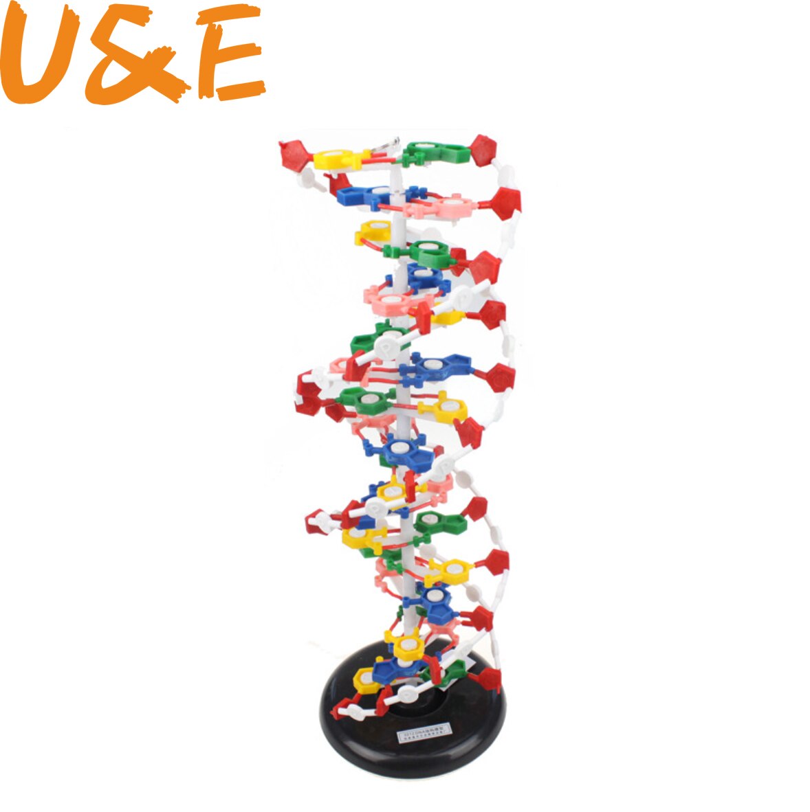DNA double helix structure model 60cm cm cm genetic biology teaching instrument