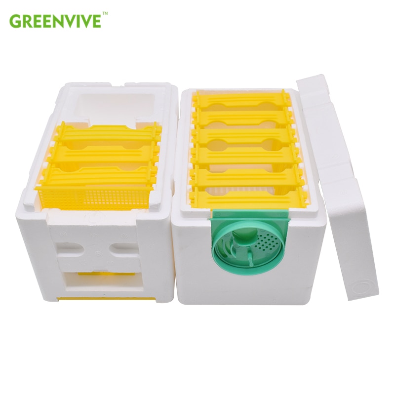 Multi-Functional Queen Bee Hive Plastic Foam Double Box Queen Rearing Beehive Bee Mating Box