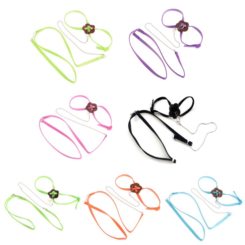 Laisse de harnais d'oiseau de perroquet pour animaux de compagnie corde d'entraînement réglable extérieure sangle de Traction Anti-vol bande souple Portable directe