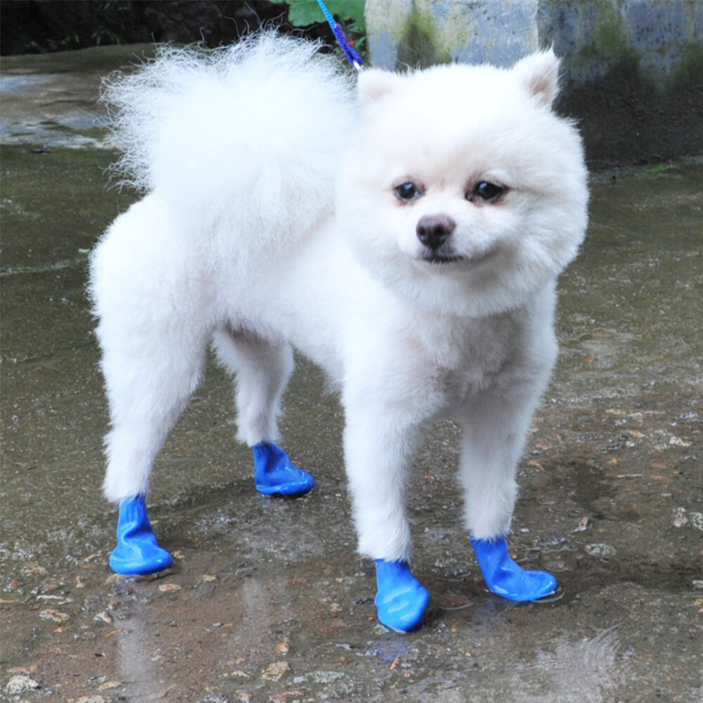 4 stk / parti regn kæledyr vandtætte sko anti slip hundesokker til hundehvalp gummistøvler slik farve hvalpesko kæledyrsprodukter