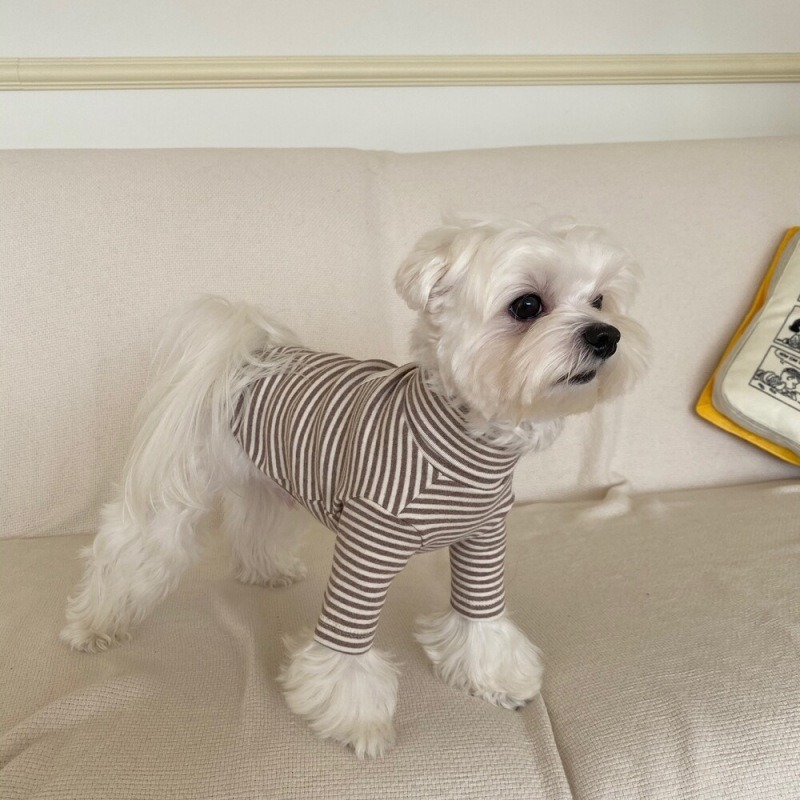 Coffee Strips Pet Dog Clothes for Chihuahua High Collar Autumn Warm Cat Sweatshirt Overalls Soft Velvet Cat Puppy Bottom T Shirt