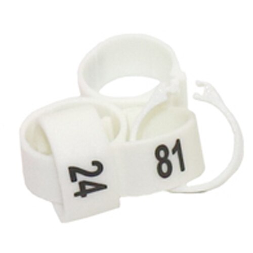 12Mm/14Mm Papegaai Voetring Papegaai Harnas Vogel Voeden Levert NO.1-100 Digitale Mark Ring 10 Kleuren Vogel harnas 100 Pcs: WHITE / 12mm