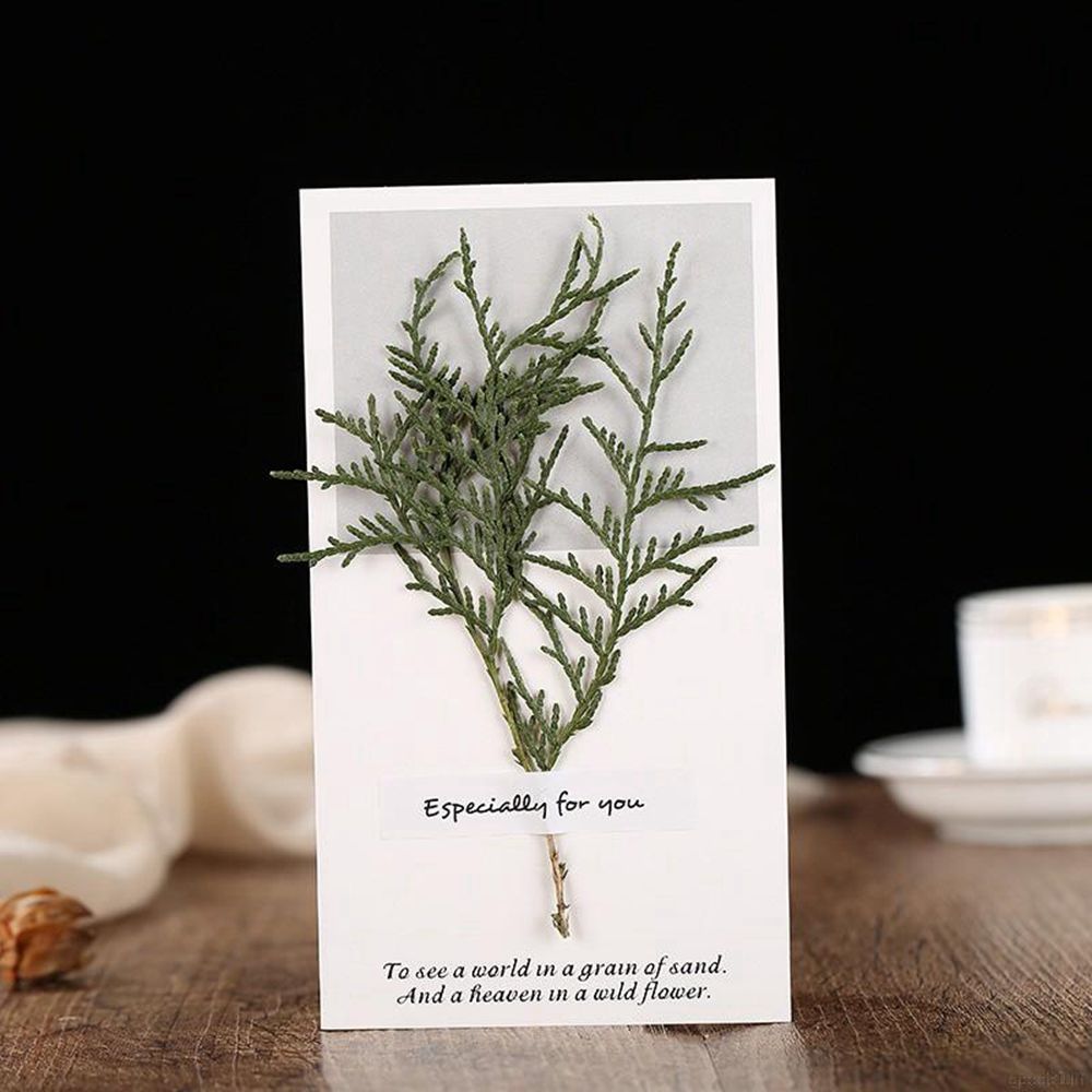 Best Wishes Flower Greeting Card Invitations Greete True Flower DIY Invitation Card Art Decor: 8